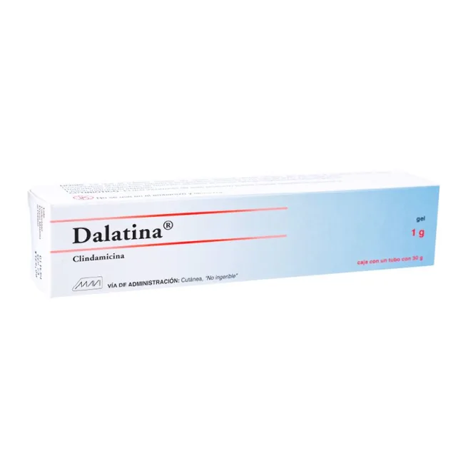 DALATINA GEL Tubo c/30 G. 1 G/100 G.